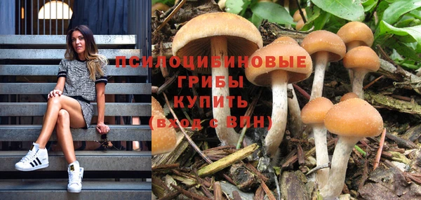 сатива Аксай