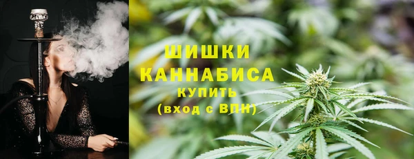 сатива Аксай