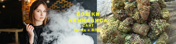 трава Алапаевск