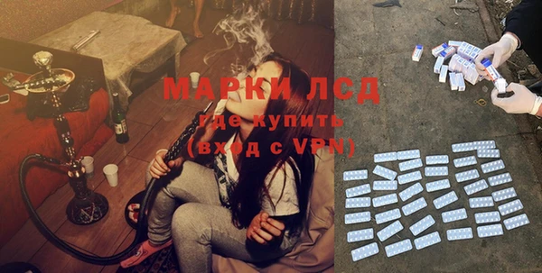 сатива Аксай