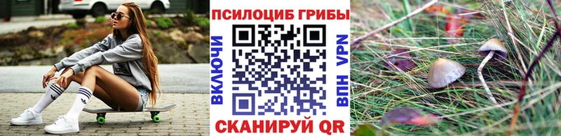 Псилоцибиновые грибы ЛСД  Дрезна 